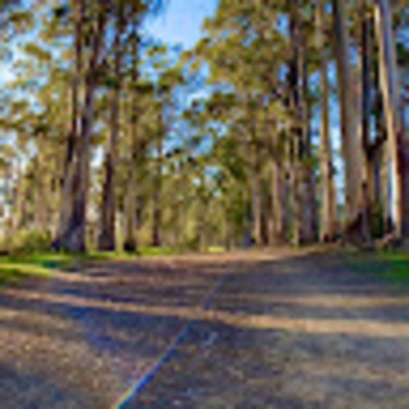 Meet your Posher, Michelle - Picture 1 of 1